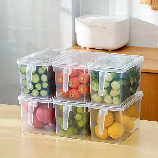 Fridge Box (1 Pc)